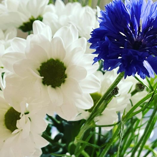 midsommar 2021 bild